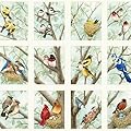 ELIZABETH STUDIOS BEAUTIFUL BIRDS