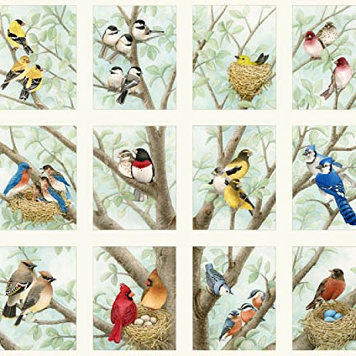 Elizabeth's Studio Beautiful Birds Songbirds Quilt Fabric 24