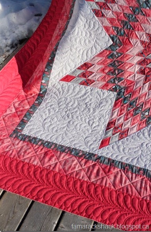 lone-star-quilt-quilted-border