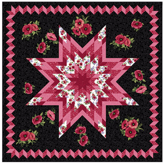 Ann Lauer Stargazing Lone star quilt