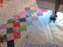 quilt quilting cables using a walking foot