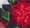 Poinsettia quilt pattern Crimson Christmas